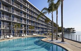 The Godfrey Hotel And Cabanas Tampa